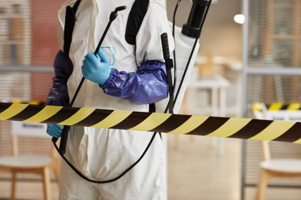 Professional Sewage Cleanup technician working in Elwood, UT